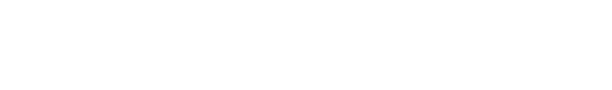 Bisnesia